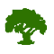 Деревья и крупномеры озеленение в Краснодаре, Ростове, Ставраполе, Краснодарском крае парки и сады