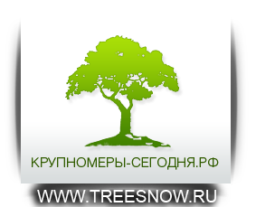 Крупномеры-сегодня.рф - продажа деревьев крупномеров, купить декоративные растения, посадка крупномеров Краснодара